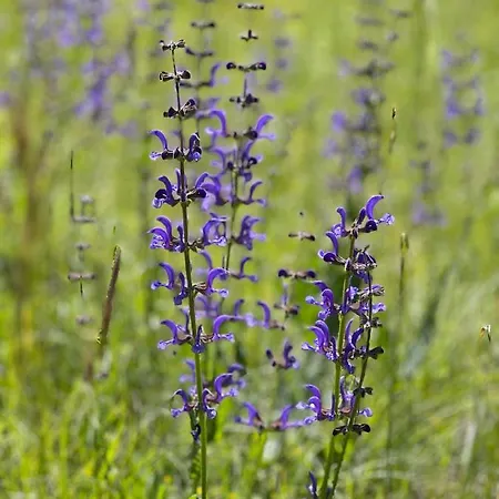 ヴィラ La Grange Du Landorre *