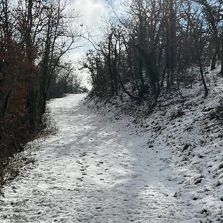 La Grange Du Landorre ヴィラ Villeseque